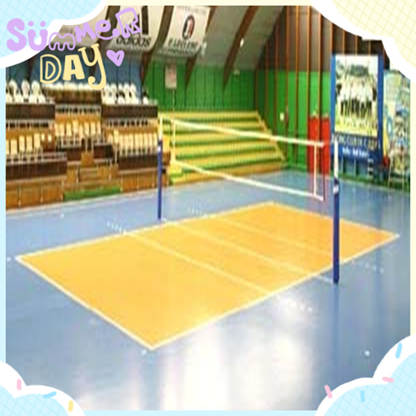 2016 Hot Sale PVC/Vinyl Volleyball Sports Flooring