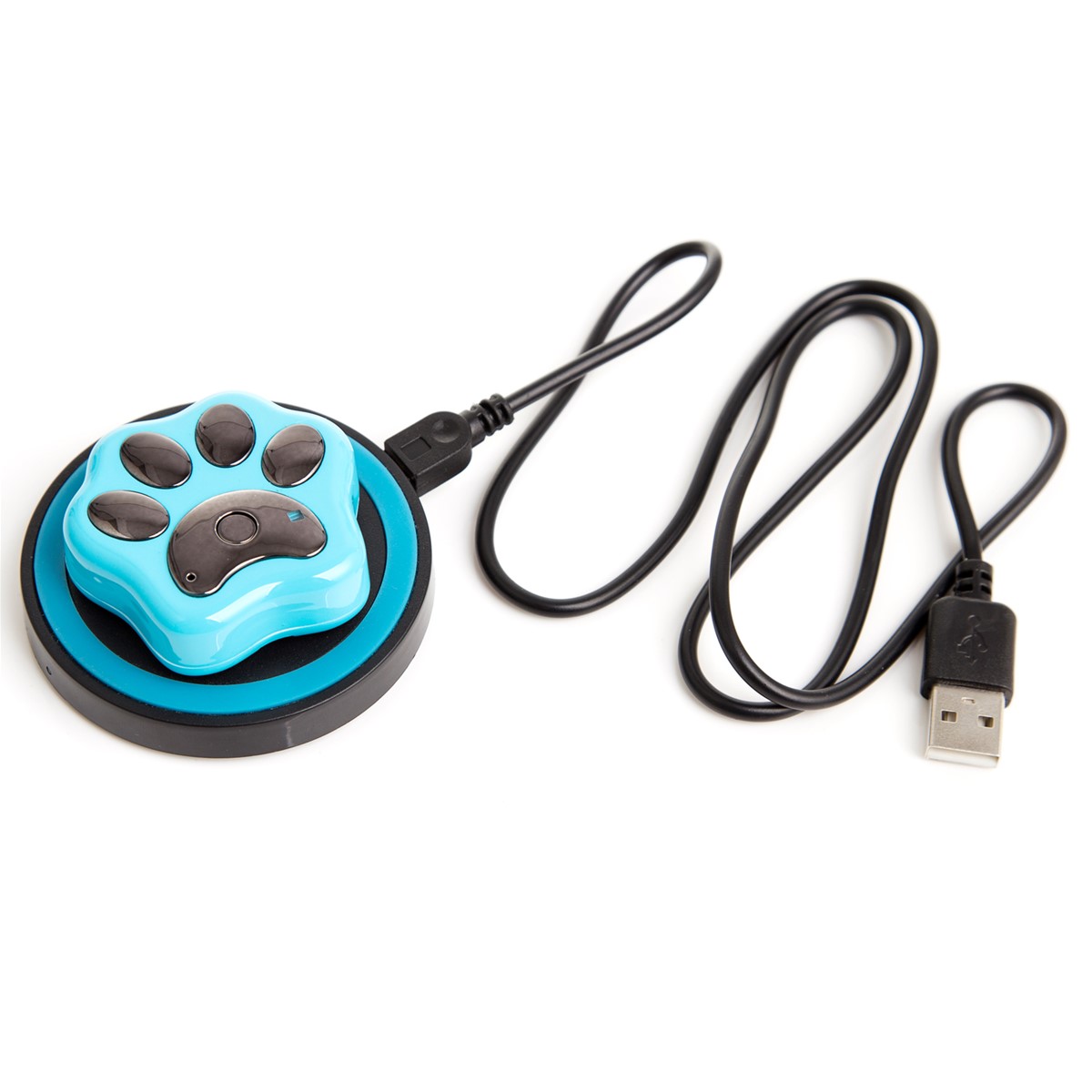 diy gps dog collar