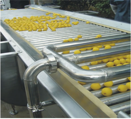 fruit sorting machine