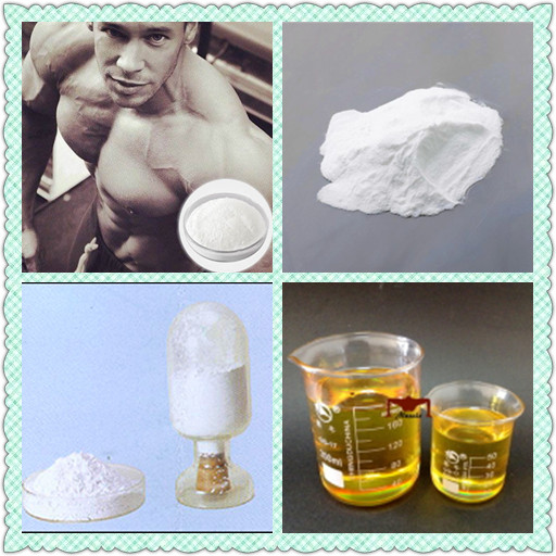 White Steroids Powders Testosterone Isocaproate Gain Muscle