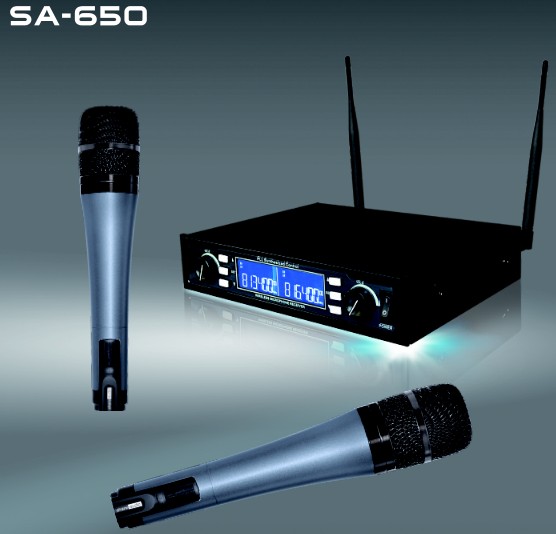 Dual Channels Wireless Microphone System