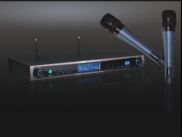 UHF Professional Dual Channels Wireless Microphone System