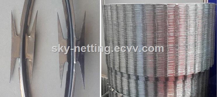 China low price 600mm coil diameter hot dipped galvanized concertina razor wire for sale