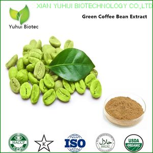 bulk powder green coffee bean extract,pure chlorogenic acid,pure chlorogenic acid