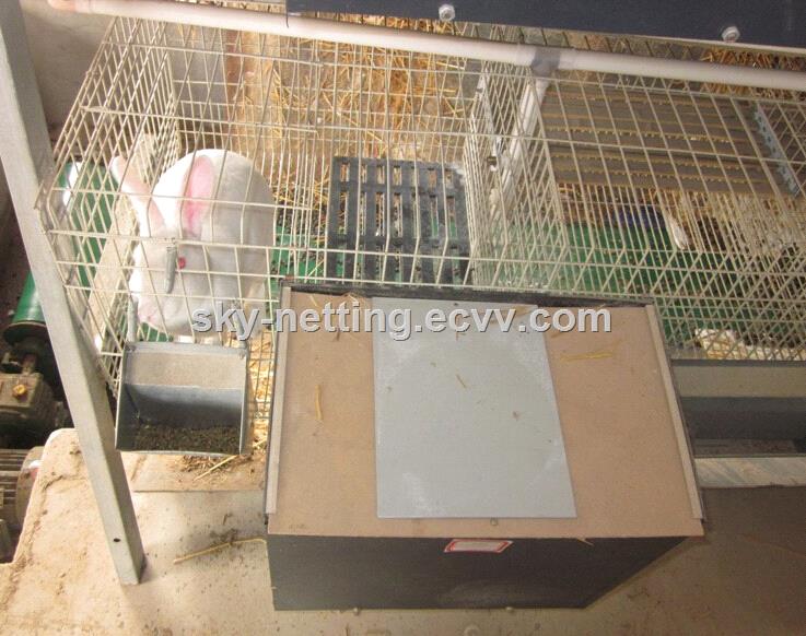 galvanized female baby rabbit wire mesh cage