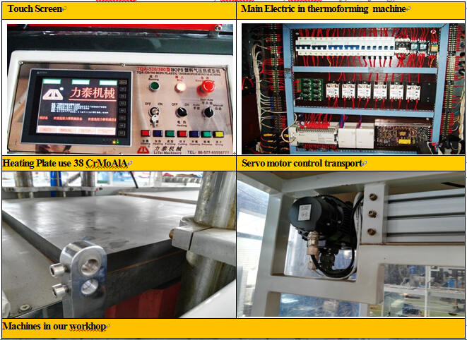 Automatic Plastic Bops Thermoforming Machine