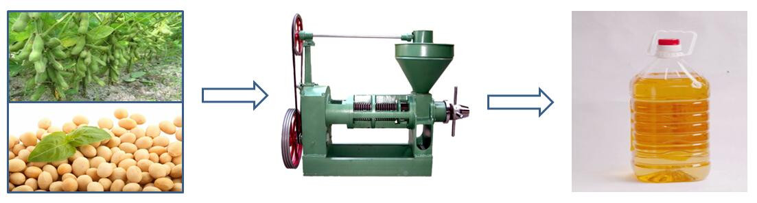 Soybean oil pressing machine