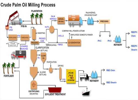 Crude palm oil production process