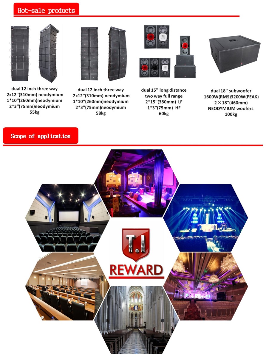 Line Array System for IndoorOudoor Speaker Line Array