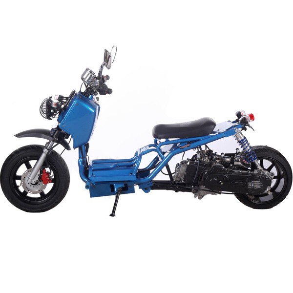 Ice Bear Ruckus Clone Maddog 50cc Gas Scooter From China Manufacturer Manufactory Factory And Supplier On Ecvv Com