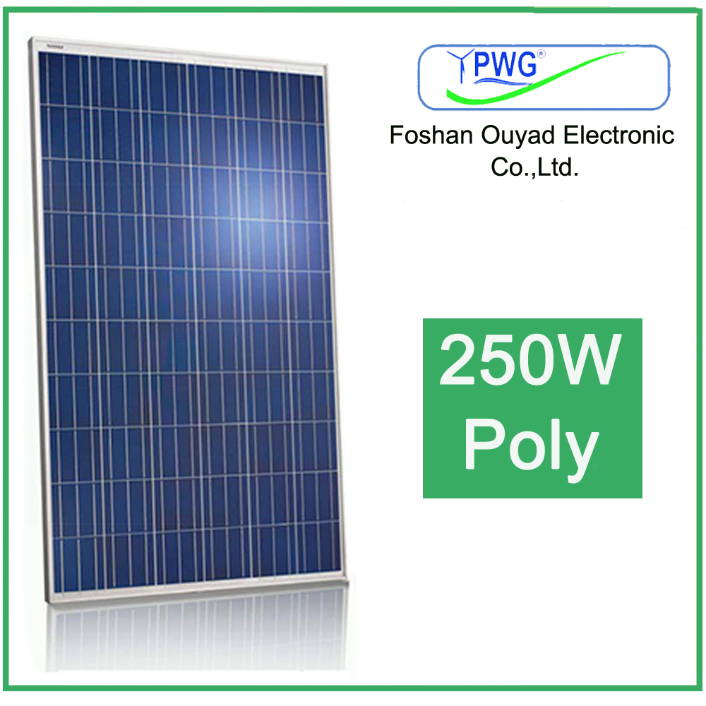 Factory Price 250w Poly Solar Panel From China Manufacturer