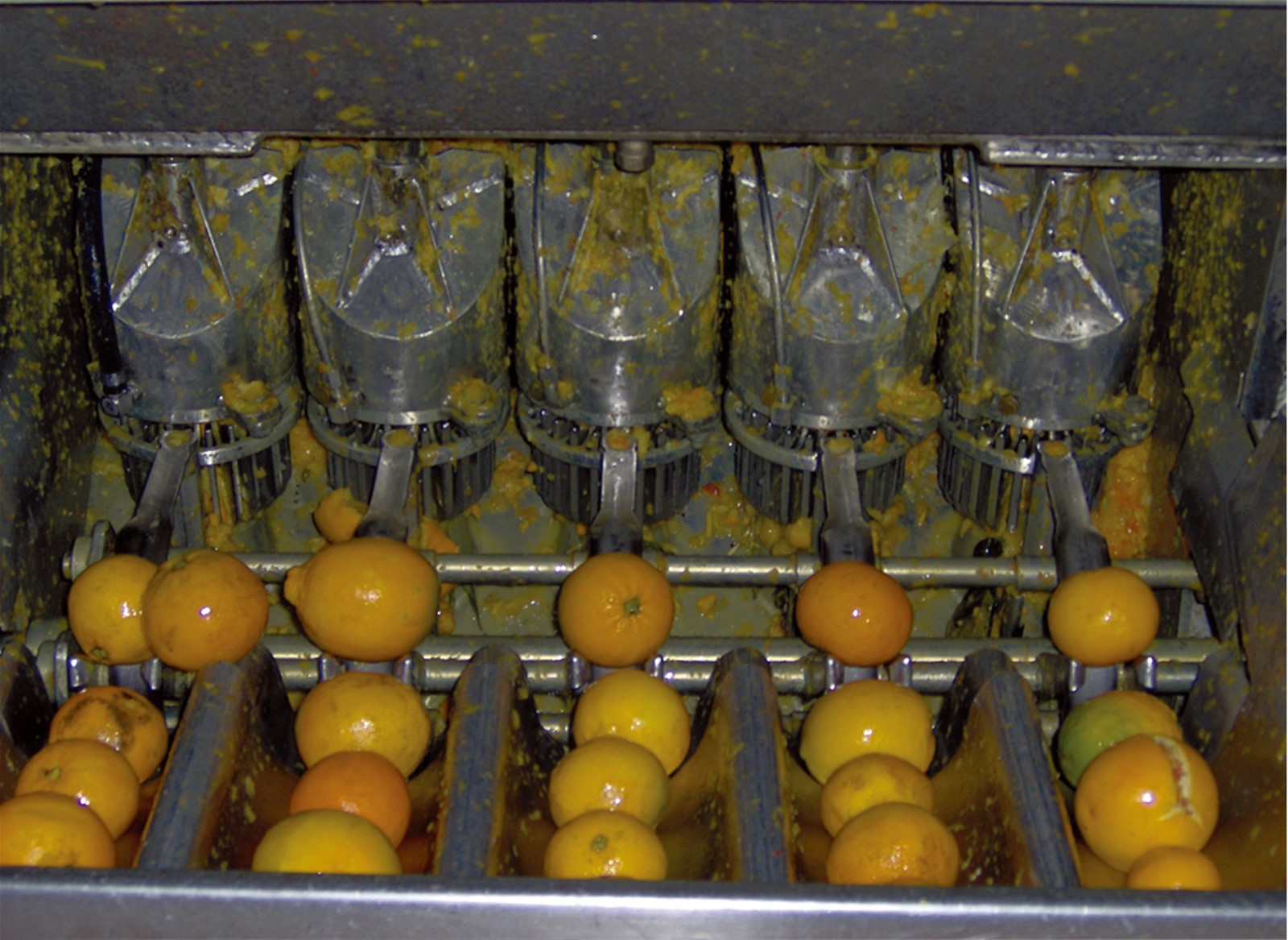 TRIOWINTurnkey Industrial Solution for Citrus juice processing linemachineryequipementmachine