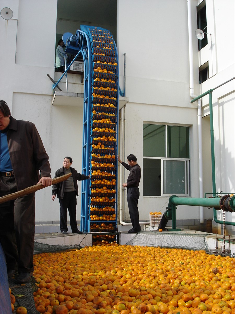 TRIOWINTurnkey Industrial Solution for Citrus juice processing linemachineryequipementmachine