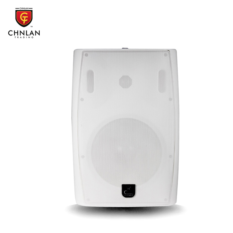 CTRLPA CL6038 professional wall mount speaker