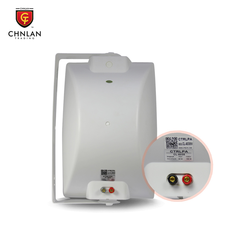 CTRLPA CL6038 professional wall mount speaker