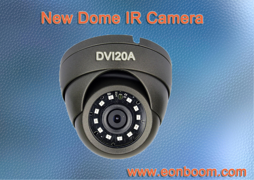 Grey 20MP Fix Lens Vandalproof IR Dome Camera