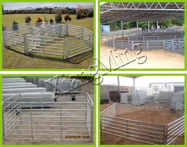 18x21m cattle panel fencing livestock panels cattle panel