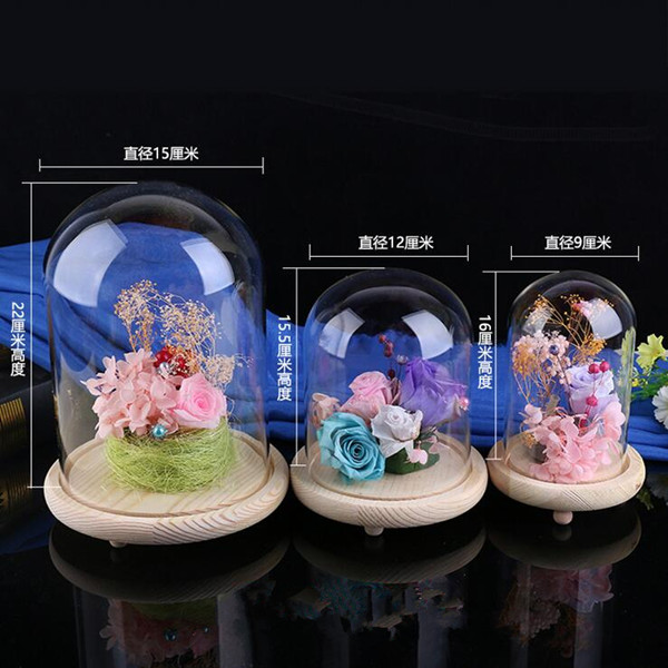 Transparent Glass Dome Vase Home Decoration Handmade Glassaware Gift Log Base