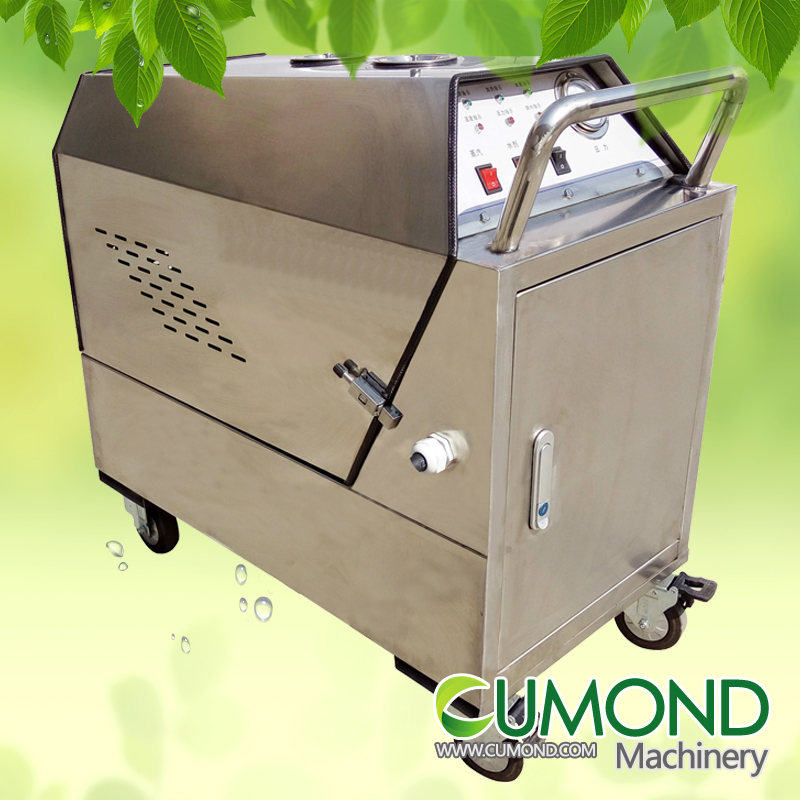 8KW electric steam cleaning machine for car washing service and carpet cleaningCWES08