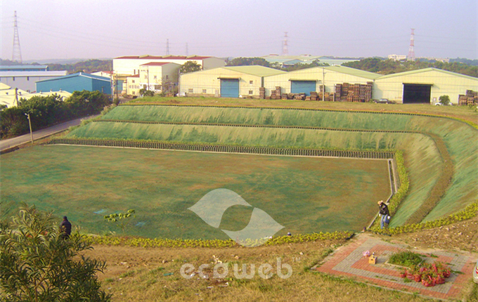 Ecoweb Geocell for Slope Protection