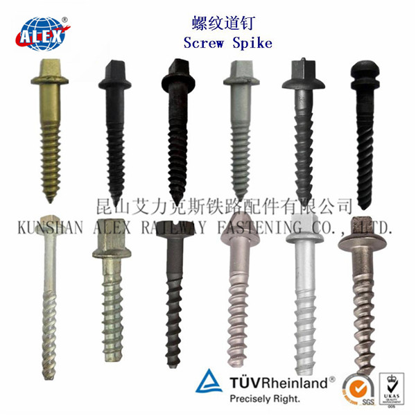 Screw Spike SS25 Railway Coach Screw