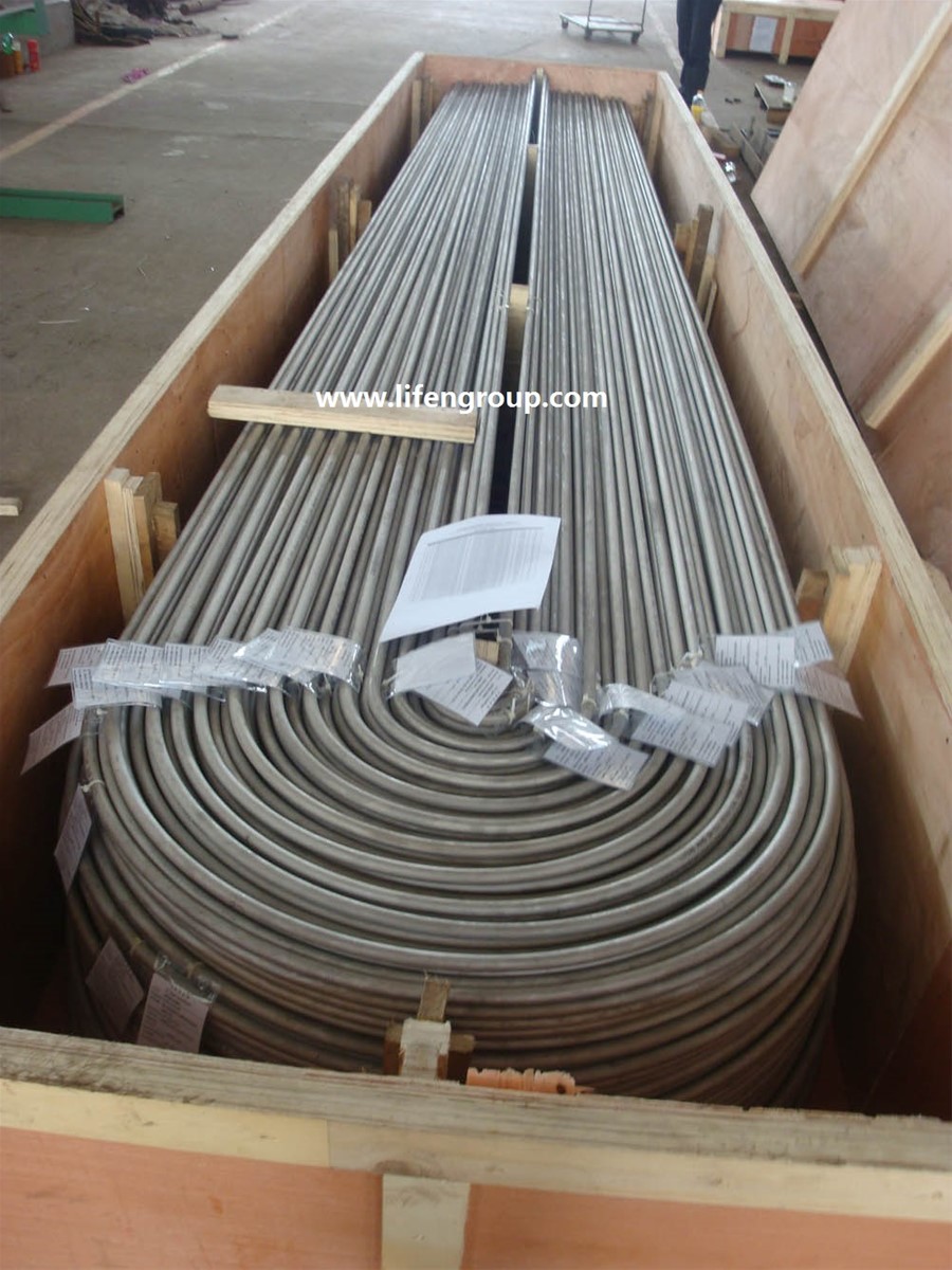 U bend stainless steel pipe heat exchanger