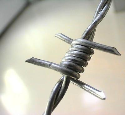 Single and double strand barbed wire 28mm line barbed wire