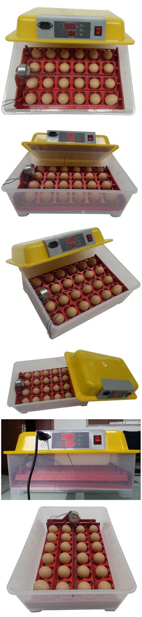 Hot Selling WeiQian Brand Home Use Mini 24 chicken egg Incubator20 eggs mini egg hatcher