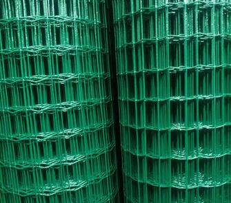 Hot dipped 2x2 galvanized welded wire mesh panel and roll