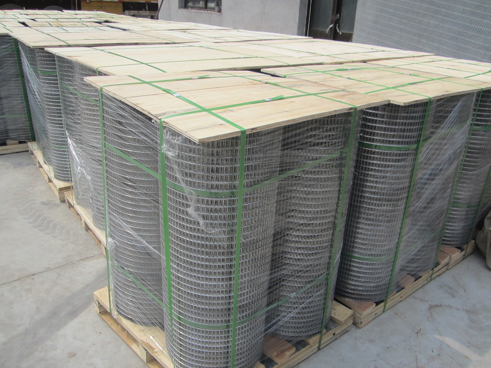 Hot dipped 2x2 galvanized welded wire mesh panel and roll