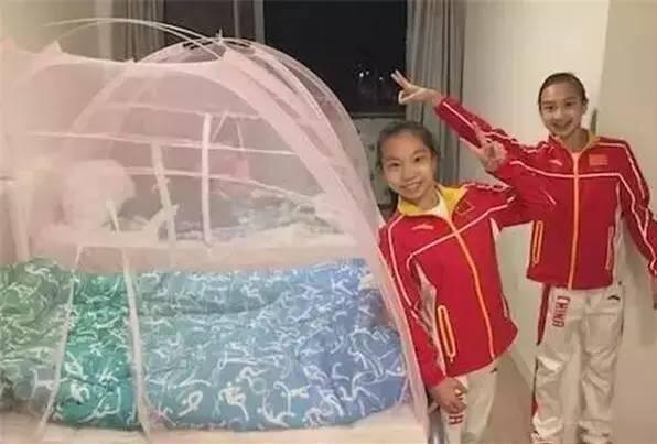 Rio Olympic Folded Mosquito Nets