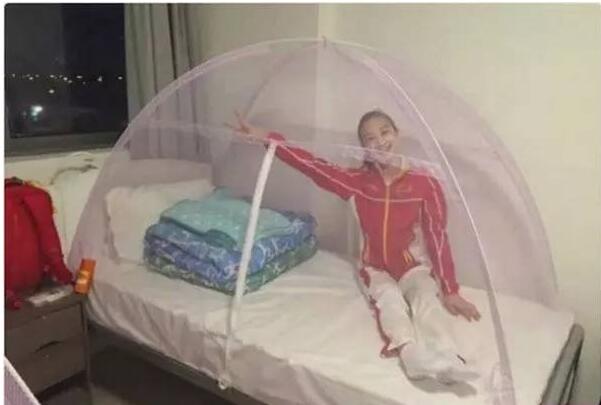 Rio Olympic olded Mosquito Net Rio Olympic olded Mosquito Net