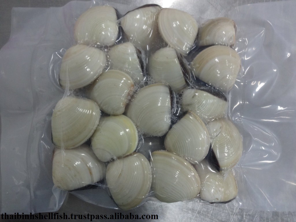 FROZEN BOILED WHOLE WHITE CLAM SHELL on from Vietnam Manufacturer