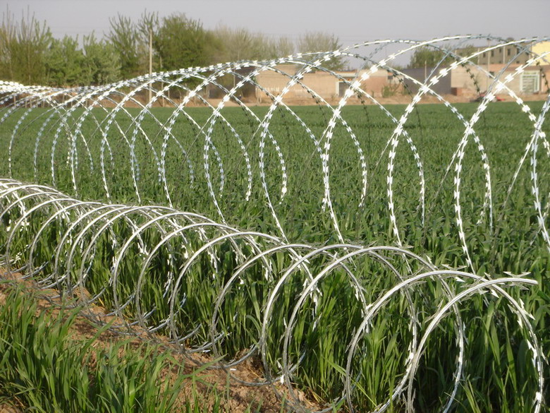 CROSSED TYPE OR SINGLE TYPE concertina razor wire mesh