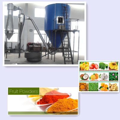 Fruit Powder Spray Drying Machine Fruit Powder Spray Drying Machine