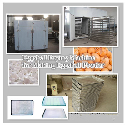 Eggshell Drying Machine