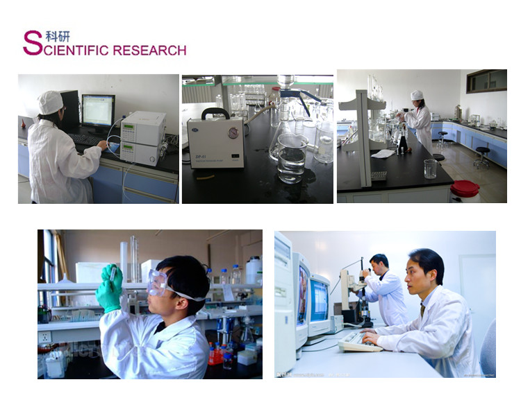High Quality Factory 9007287 Bovine Chondroitin Sulfate Sodium