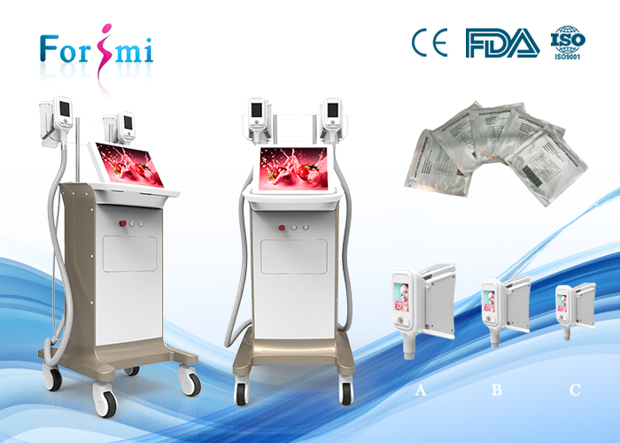 Factory directly sell fat freezing slimming machine in best price