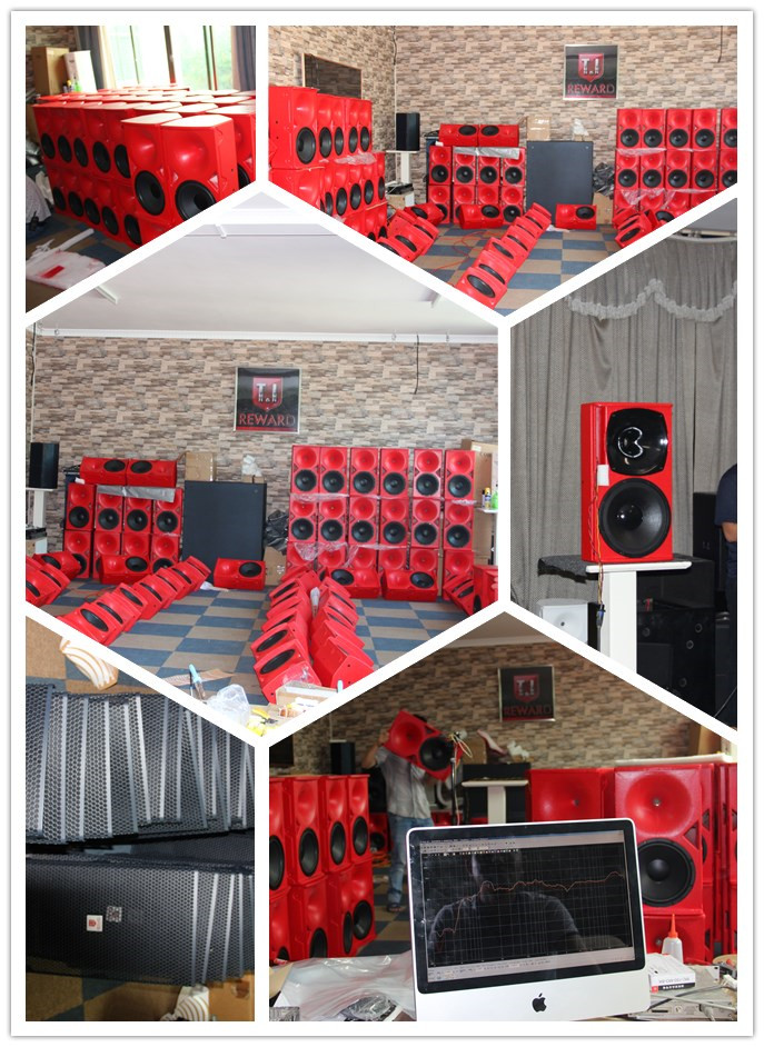 12 Wood Horn PA Speaker Pro Audio