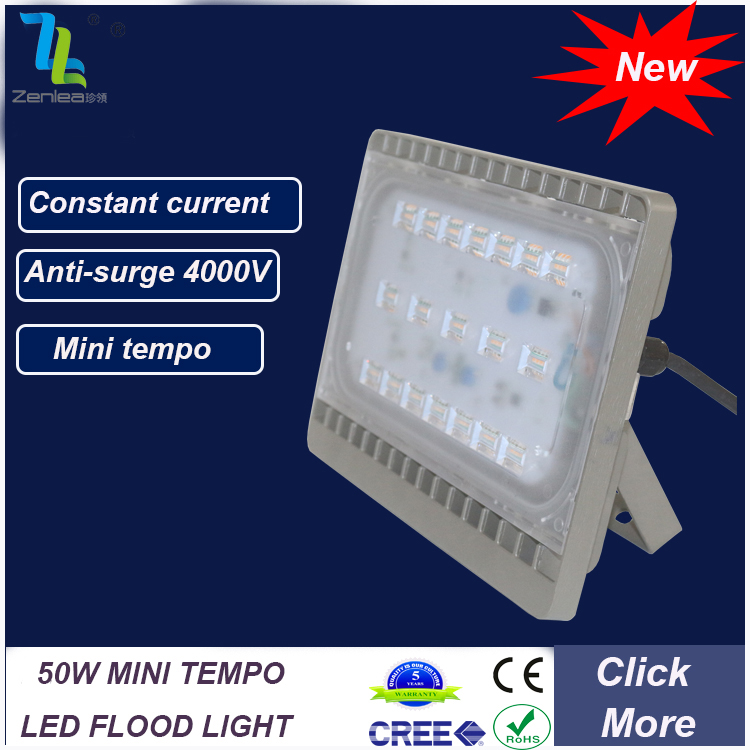 50W LED Flood Light