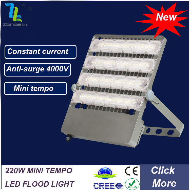 Led Flood Light 220w