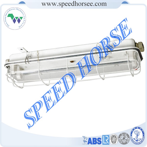 Fluorescent Pendant Light