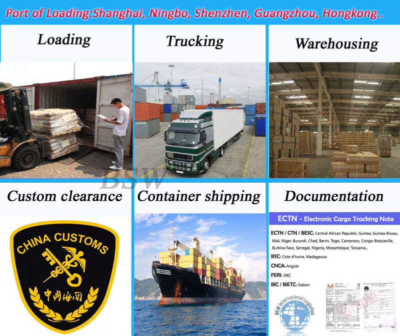 Expert China Shipping Agent Container Shipment to Africa Freight forwarder