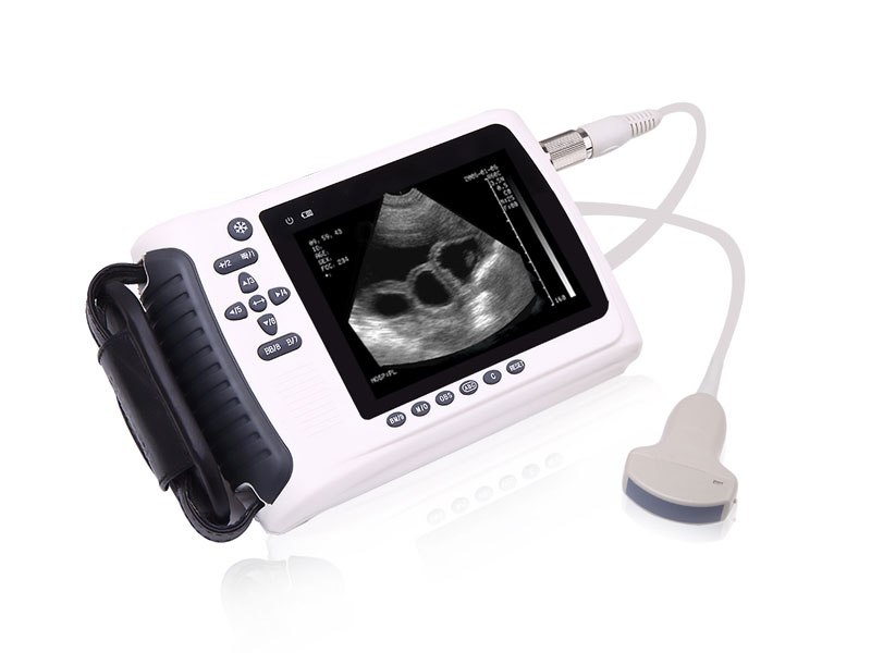 PL3018V Cattle ultrasound scanner China