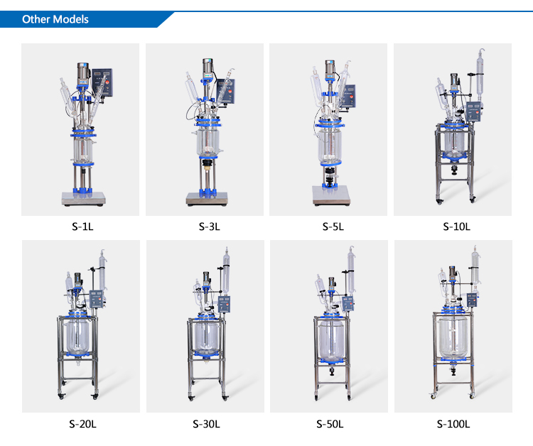 S50L GG17 High Quality Glass Chemical Agitated Tank Reactor