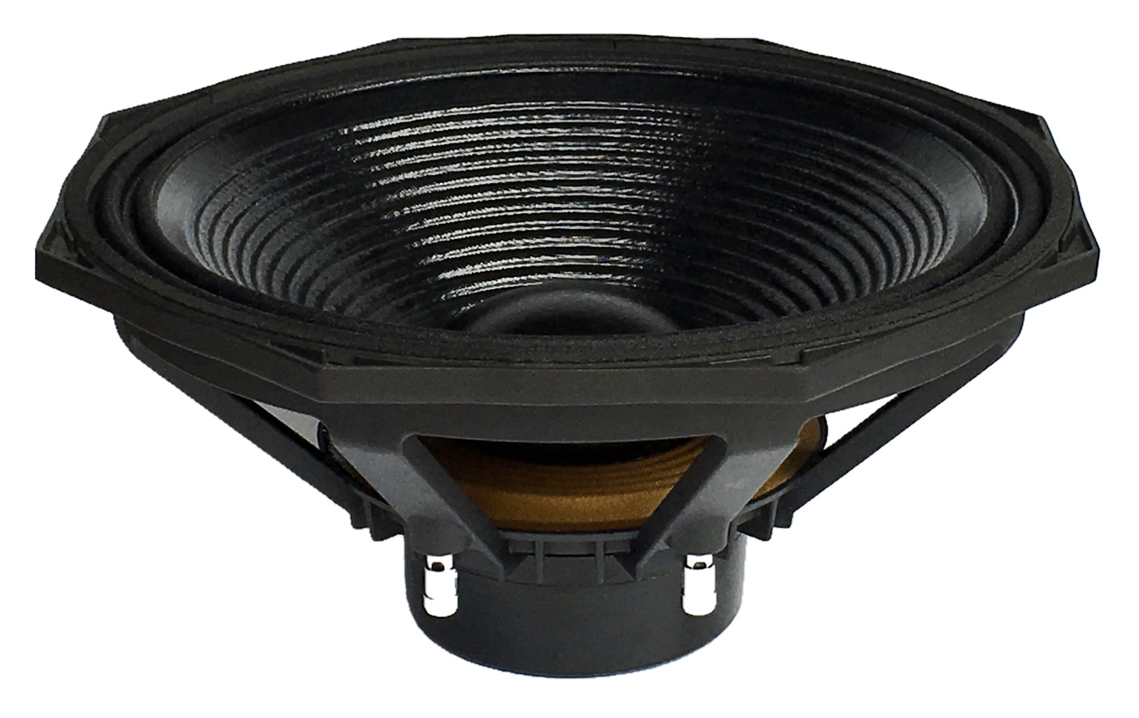 Compact Professional 15 Inch PA speaker