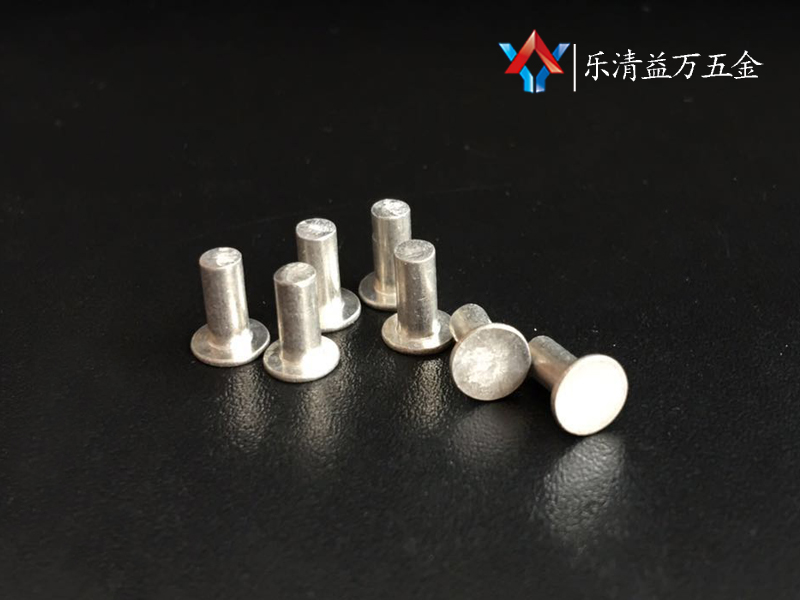 Best seller Production size rivets and step screw stainless steel