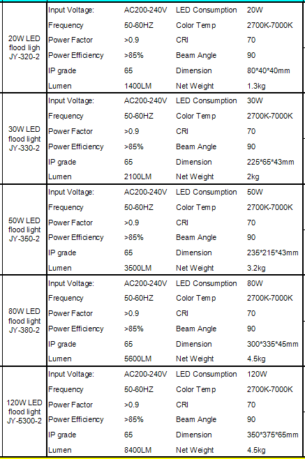 CE RoHS Approved High Quality IC floodlight