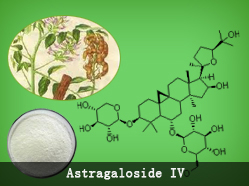 KT Astragaloside IV0309900