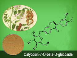 KT Calycosin7ObetaDglucoside030500